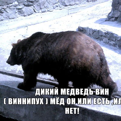 Олег Коновалов