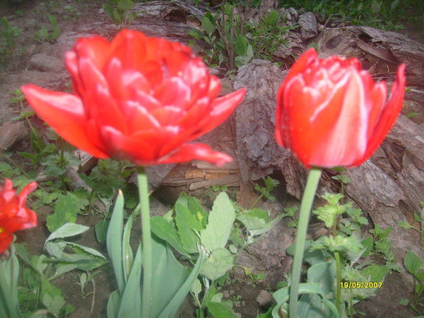 Надежда Малинкина