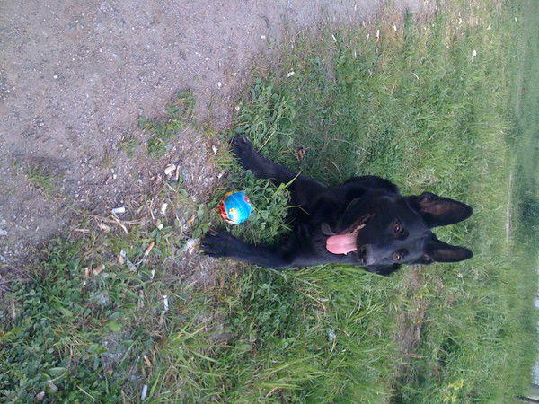 Светлана Смирнова