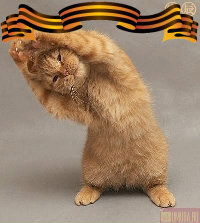 @рыжик@ @рыжик@