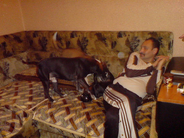 Игорь Ефимов