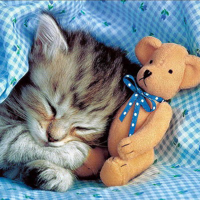 Мария Яковлева