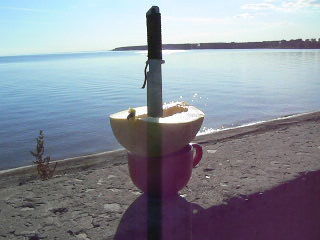 Василий Путин