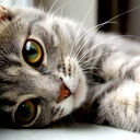 Юрий Никитин