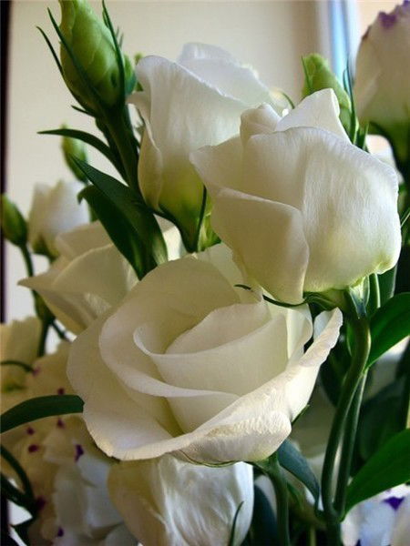 Багдат Утеулина