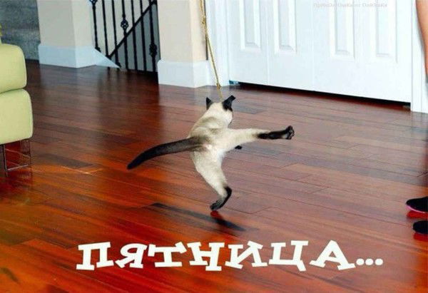 Алексей Сафонов