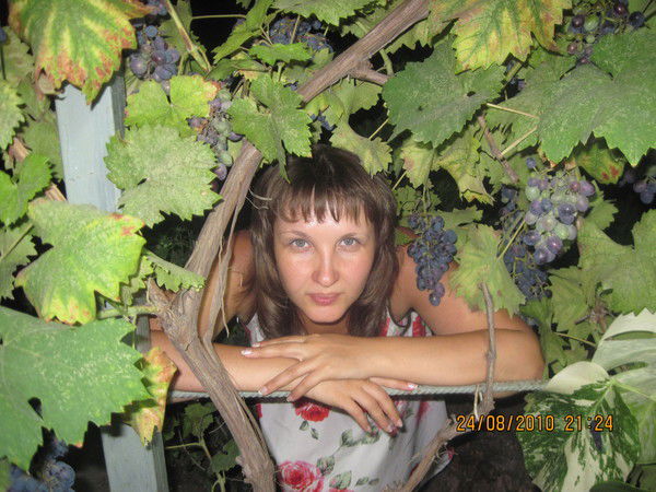 Елена Котович