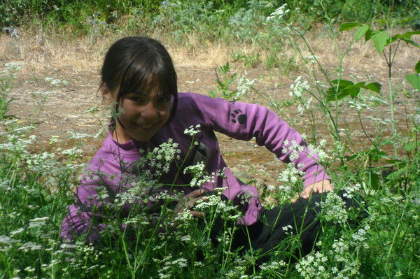 Вероника Колесникова