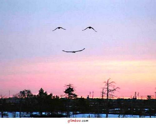 Лора Емцева