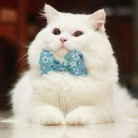 Оксана (Н.ф)