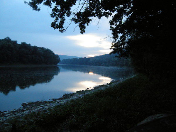 Елена Павлюк