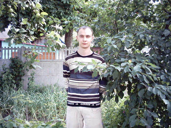 Дмитрий Давидович