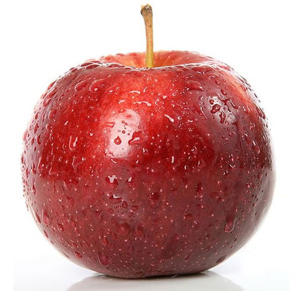 Spezialist40 Твин