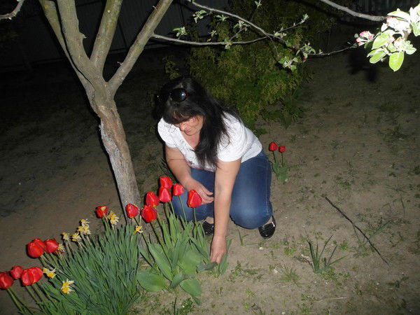 Елена Ромашко