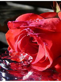 Ольга Белякова