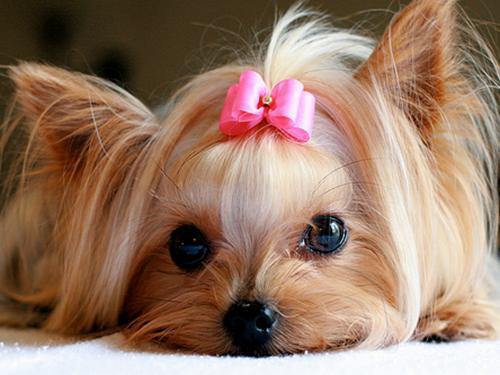 Екатерина Екатерина