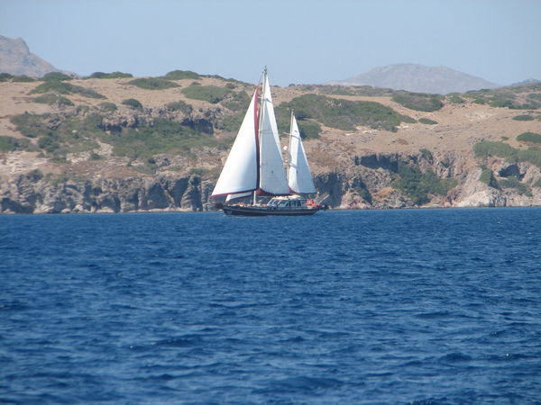 Игорь Белявцев