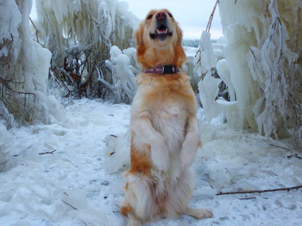 Наталья Мельникова