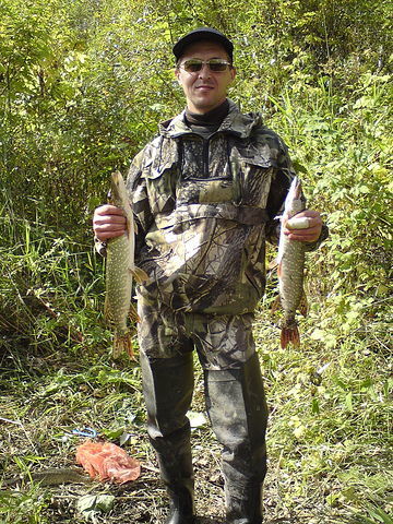 Алексей Дмитриев