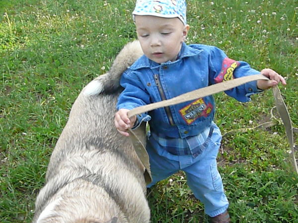 Вирус Вирус