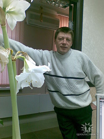 Александр Лашин