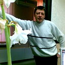 Александр Лашин