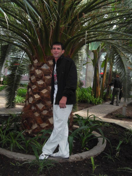 Владимир Костенко