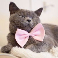 Екатерина Макарова