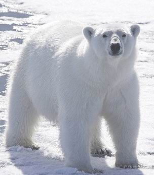 Эдуард Брагин