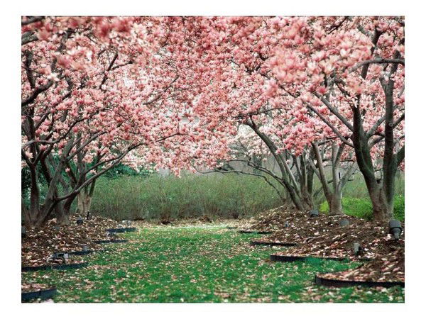 Назира Матаева