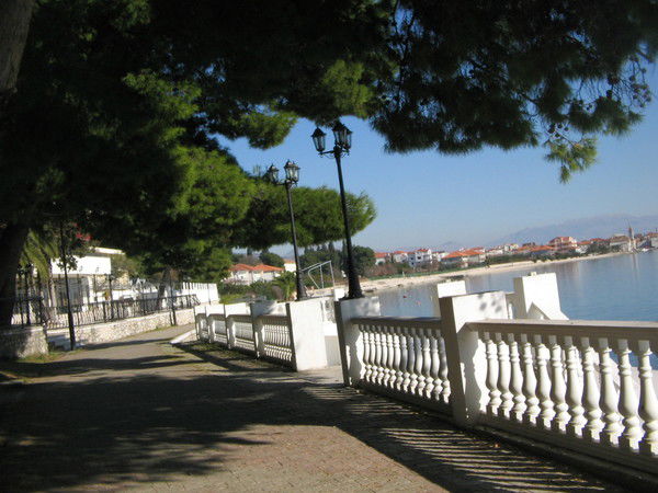 Ольга Митар