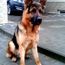 Алена Кирсань