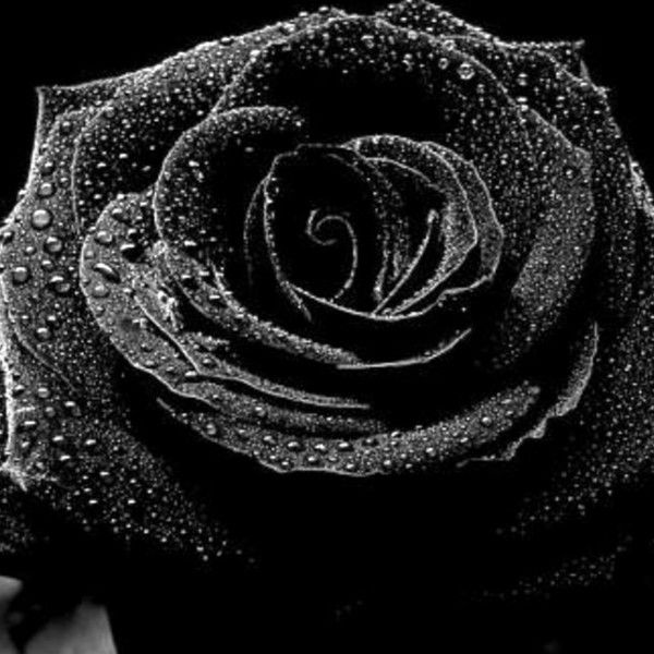 Ты Меня Ещё Вспомнишь