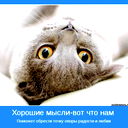 Диляра Темирбаева