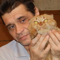 Олесь Худенко