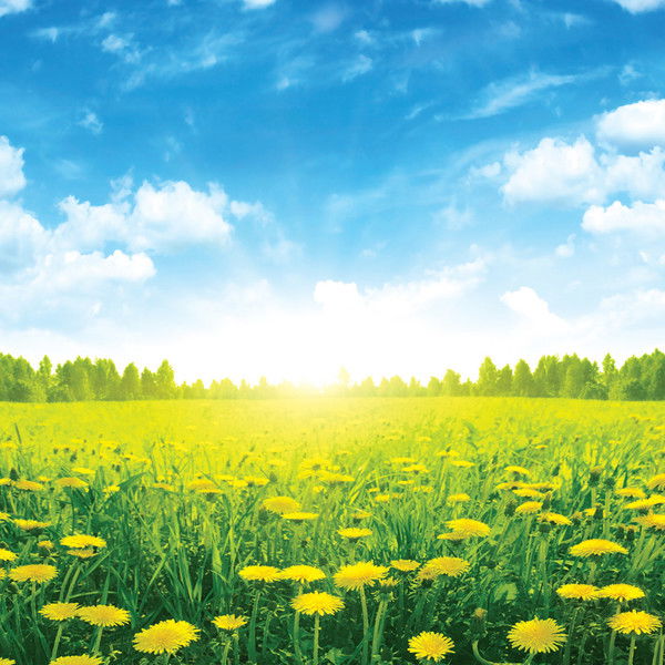 Галина Шинкарчин