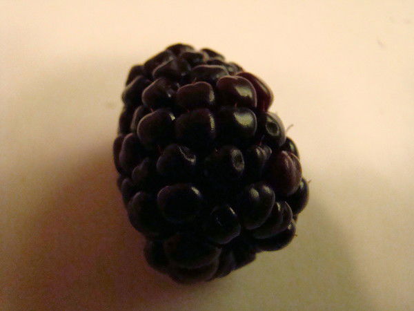 Виктория Терентьева