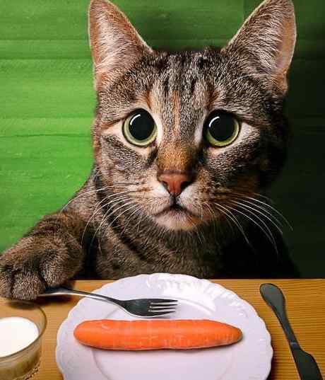 Станислав Малахов