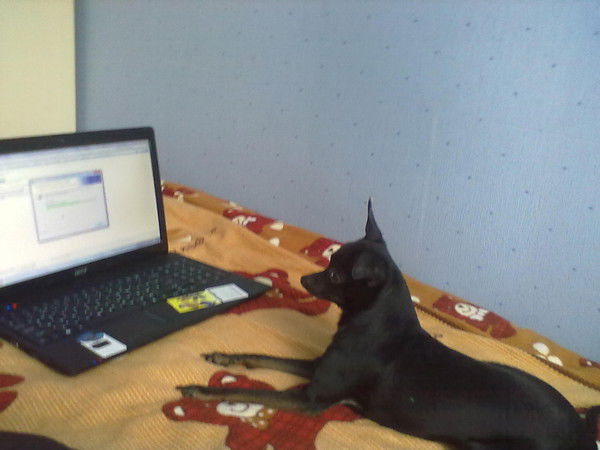 Егор Серочкин