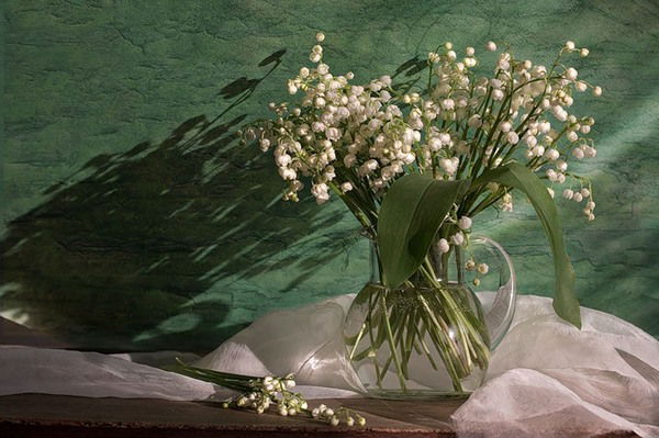 Марина Глухова