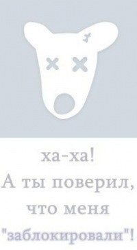 Андрій Стасюк