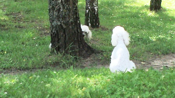 Svetlana Pultarackiene