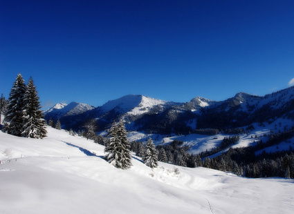 Ландыш Набиуллина