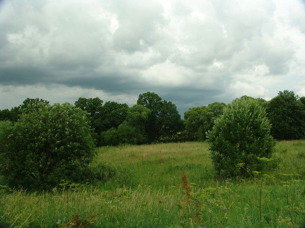 Татьяна Смерчанская