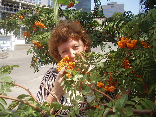 Елена Ванчина