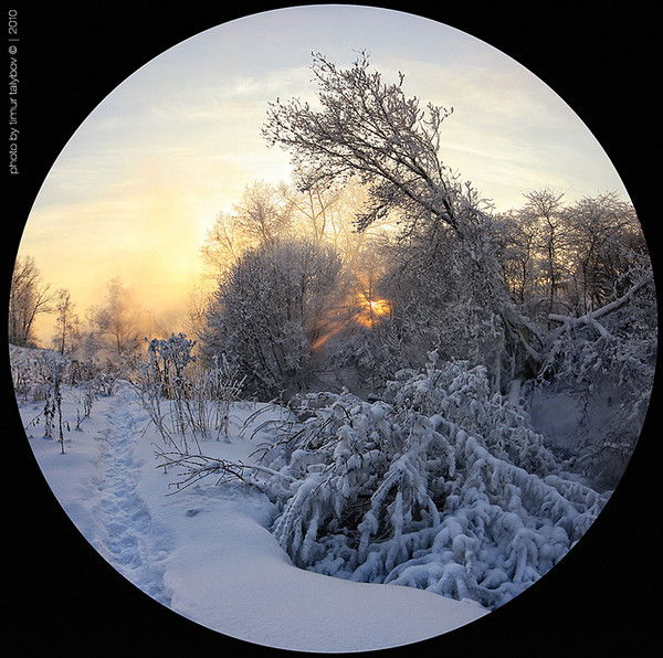 Наталья Полякова