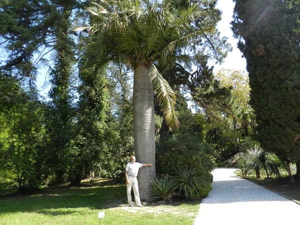 Виктор Бутвилас