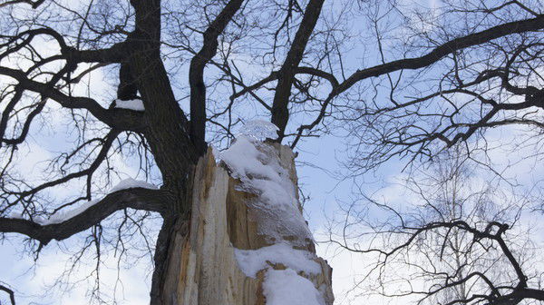 Олеся Ефремова