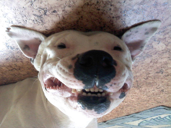 Олег Якушев