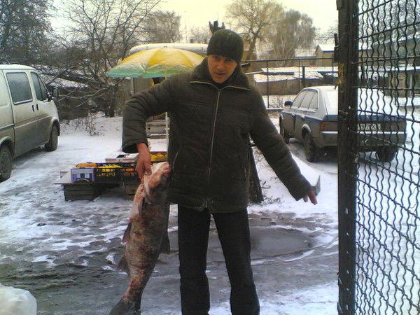 Колян Новак